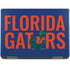 University of Florida Gators Notebook 9 Pro 13in (2017) Skin